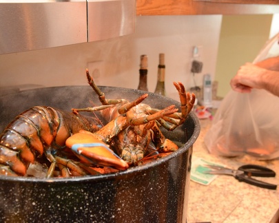 Lobster Boil1